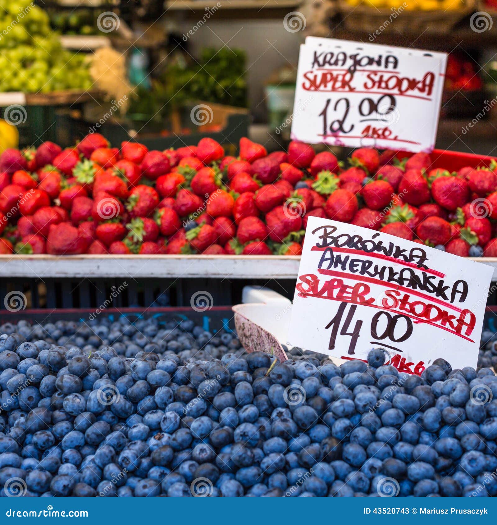 Berries at the Farmers Market in Poland. Stock Image Image of