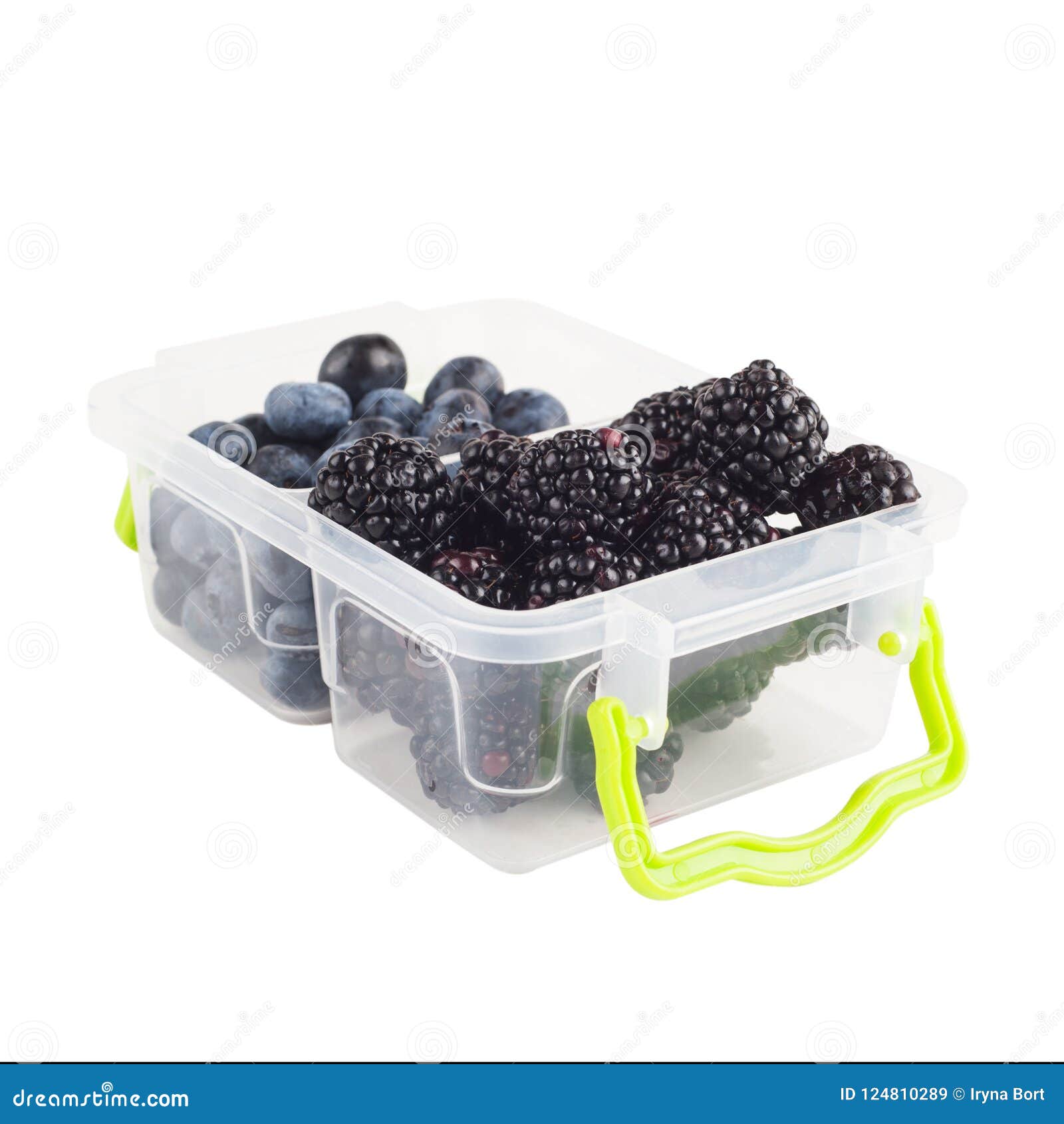 Berries in lunch box stock image. Image of blackberry 124810289