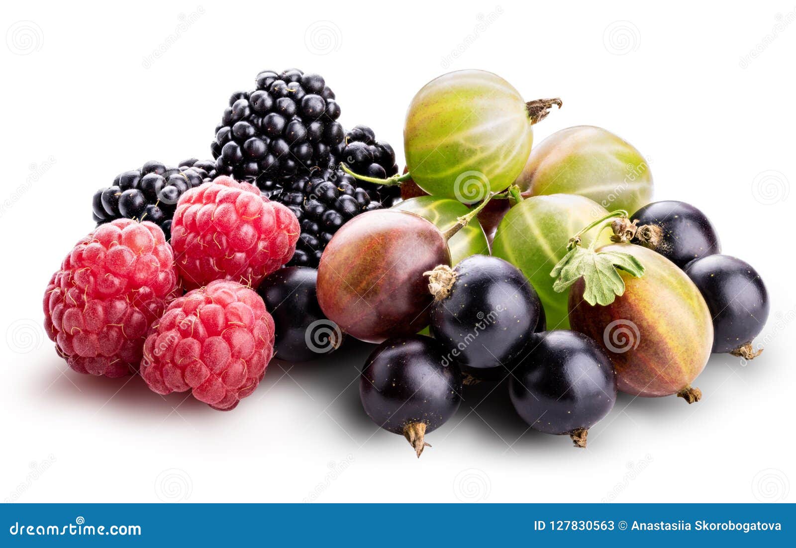 Berries (raspberry, Blackcurrant, Blackberry, Gooseberry) Isolat Stock Image Image of plant