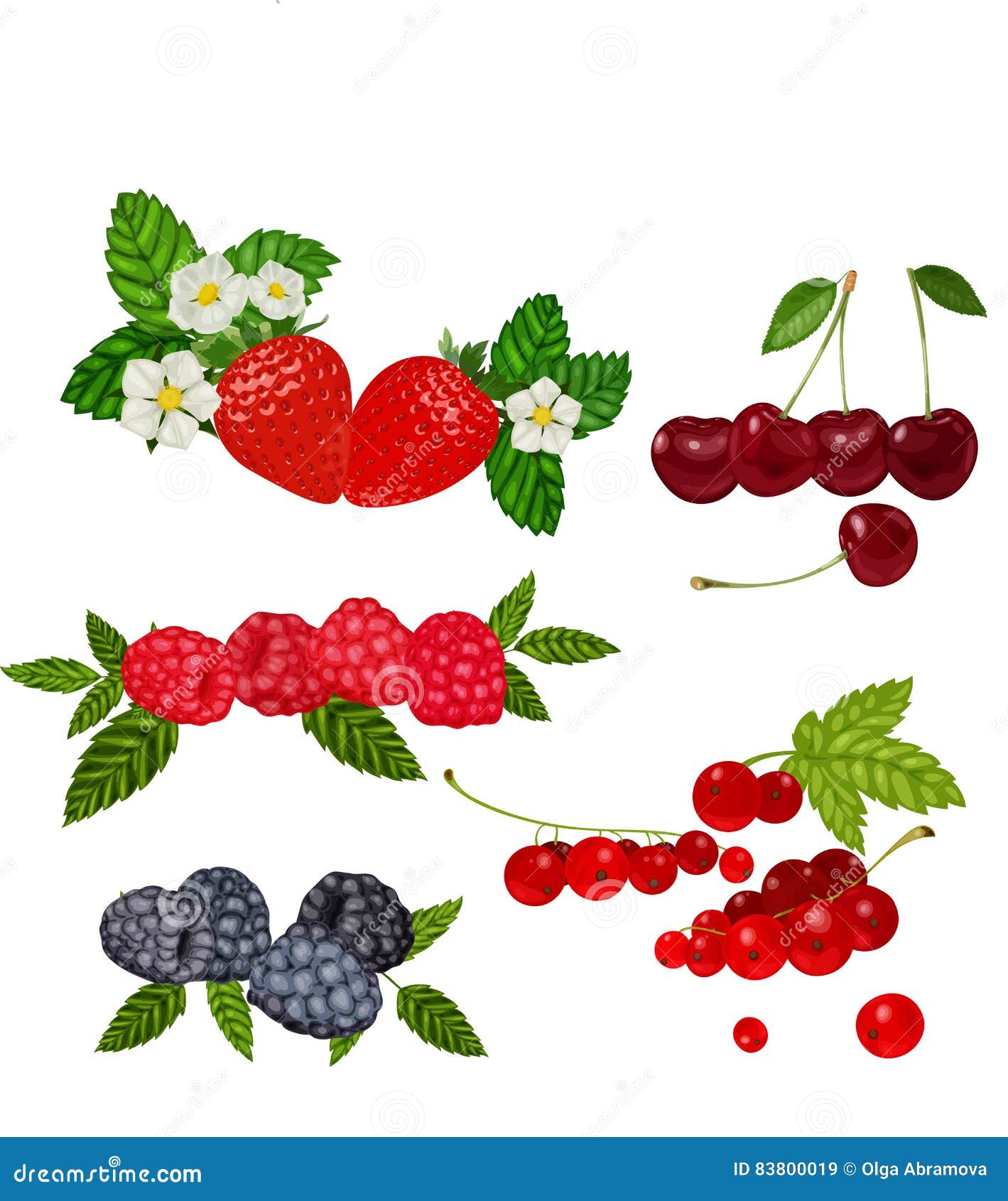 Смородина брусника земляника клубника схемы слов. Клубника и малина вектор. Клубника вишня вектор. Вектор земляника вишня. Наклейка малина и смородина.