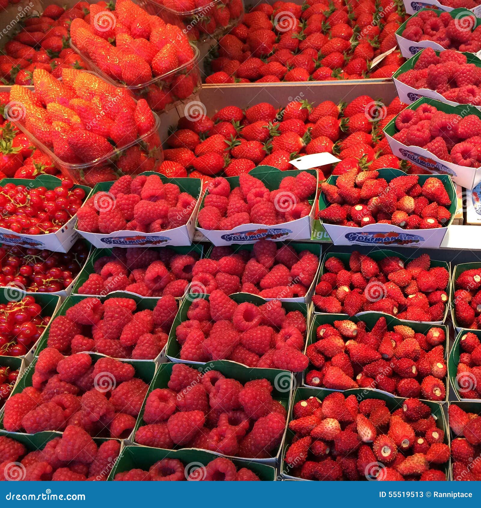 Berries editorial stock photo. Image of strawberries 55519513