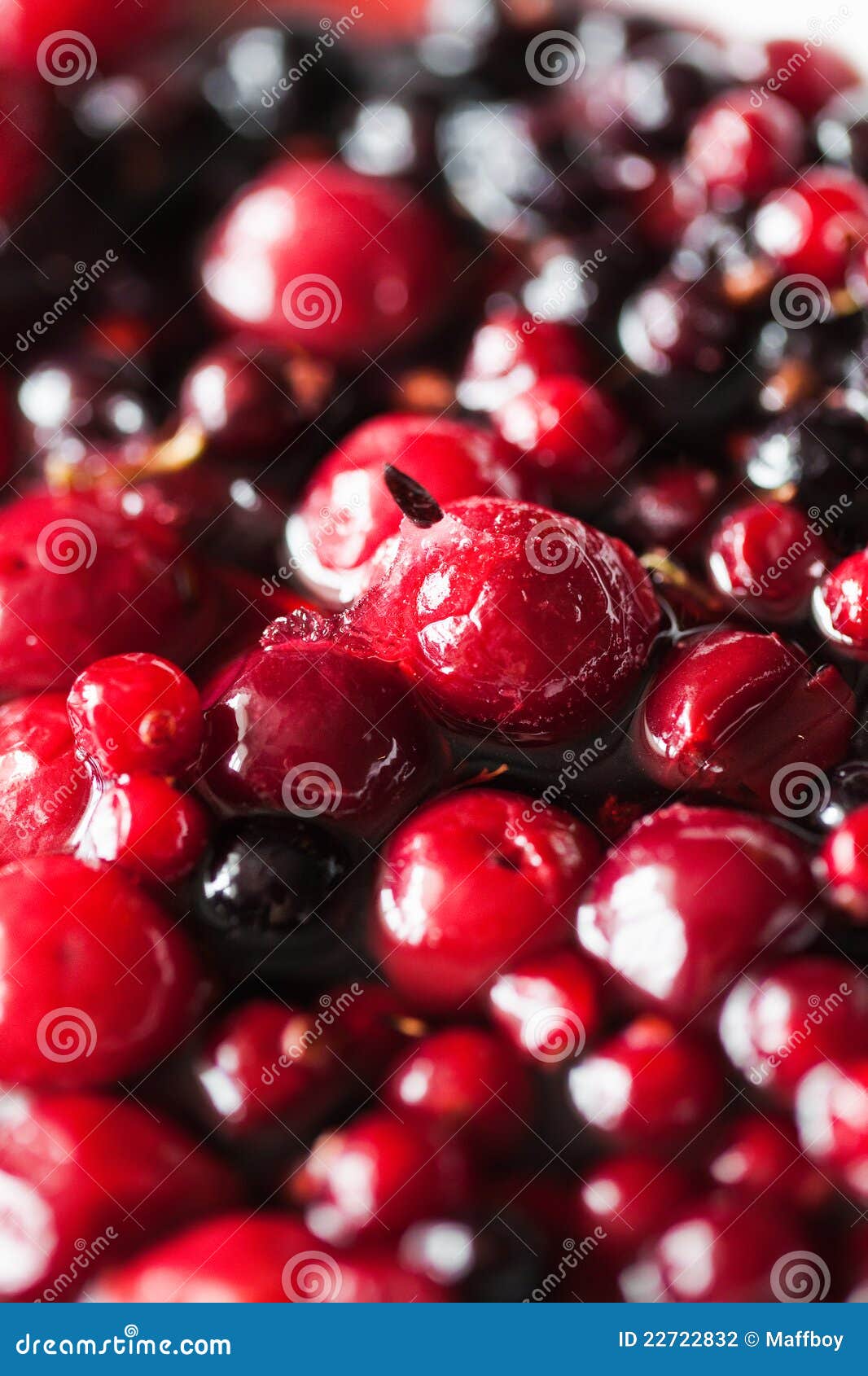 Berries in sugar stock photo. Image of delight, luxury 22722832