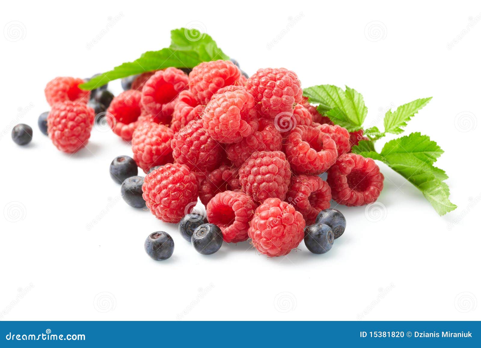 Berries on White Background Stock Photo Image of nutrient, closeup