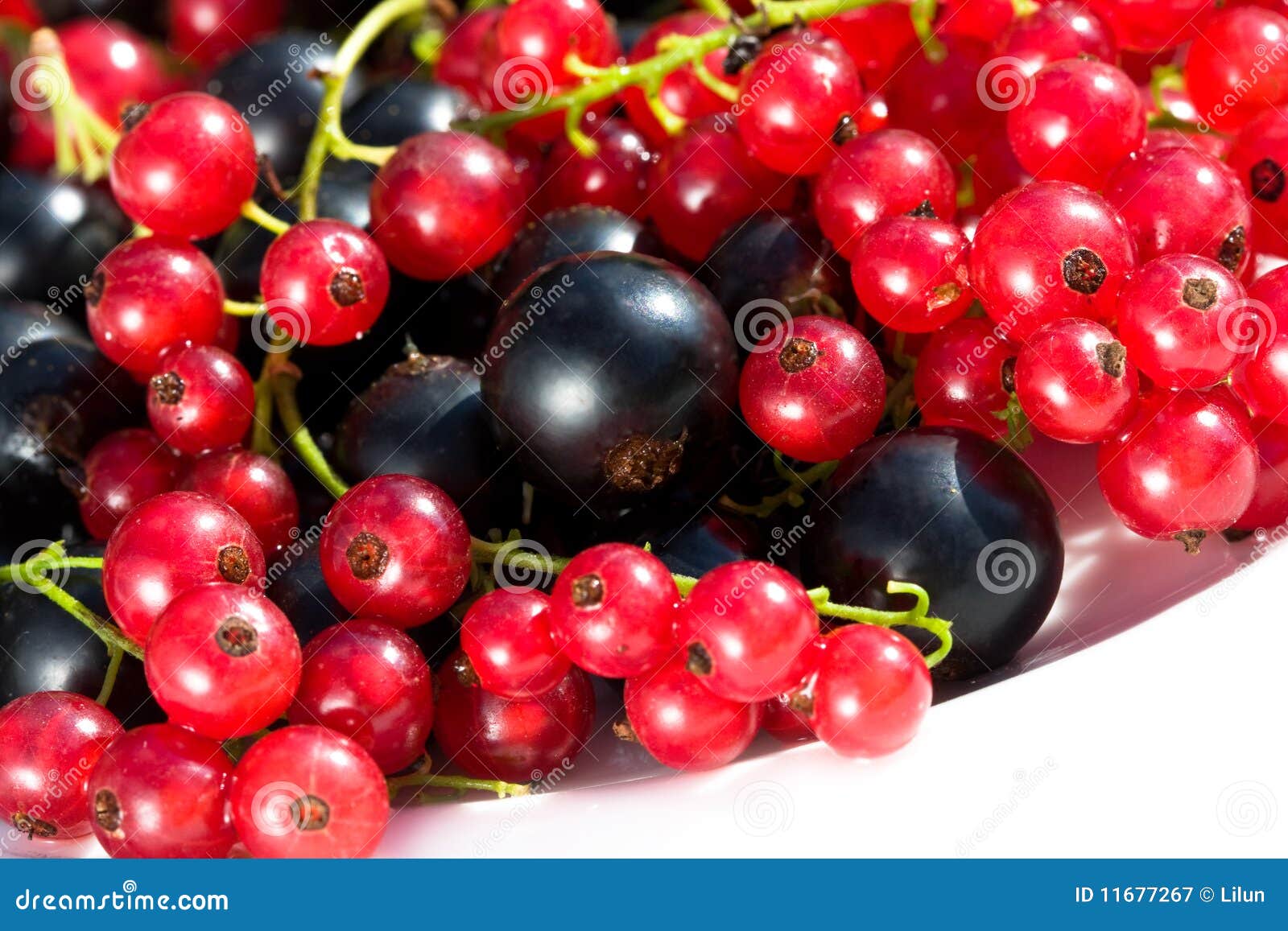 Berry stock image. Image of still, food, acids, meals 11677267