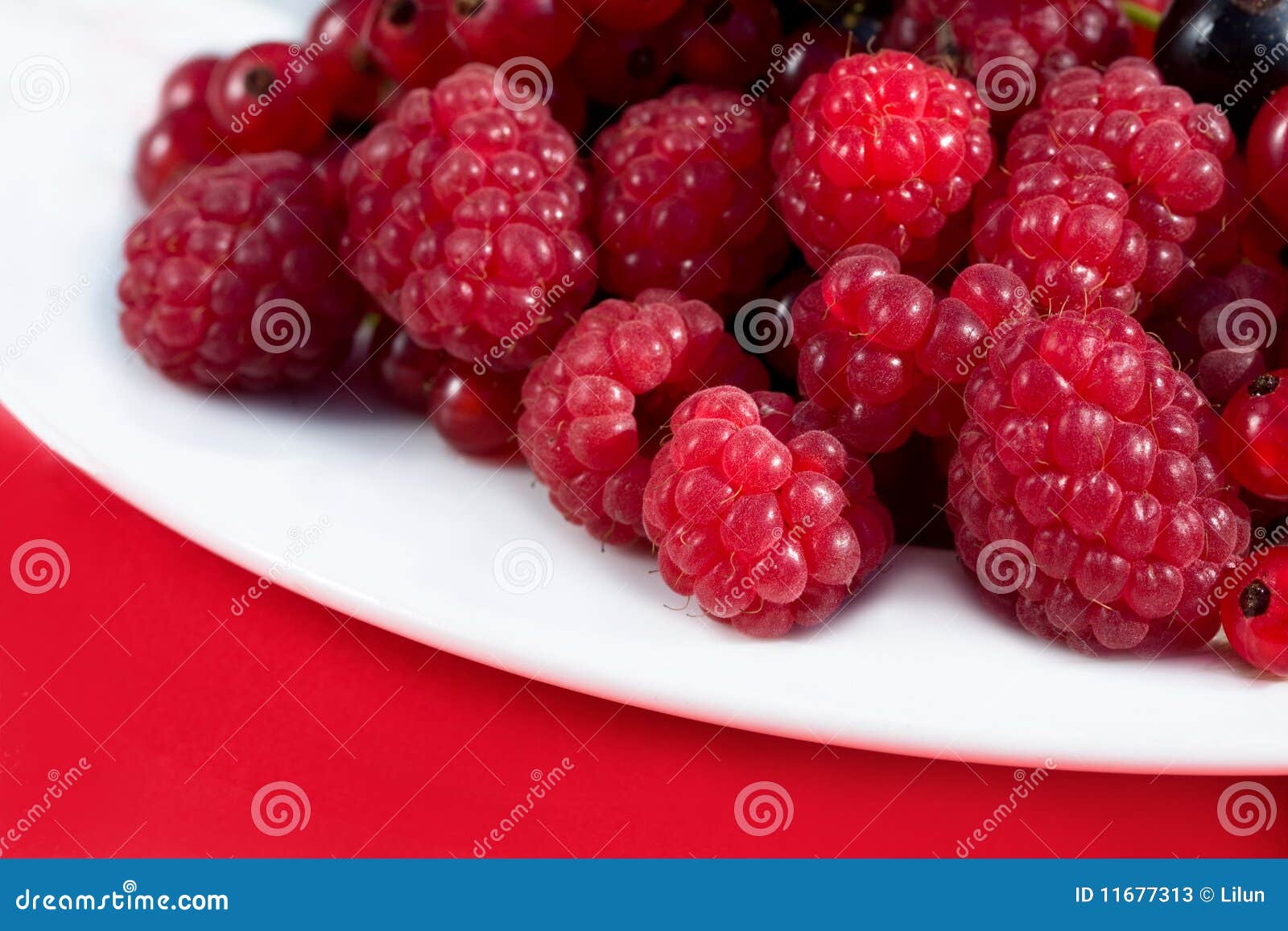 Berry stock image. Image of berry, harvest, nutrition 11677313