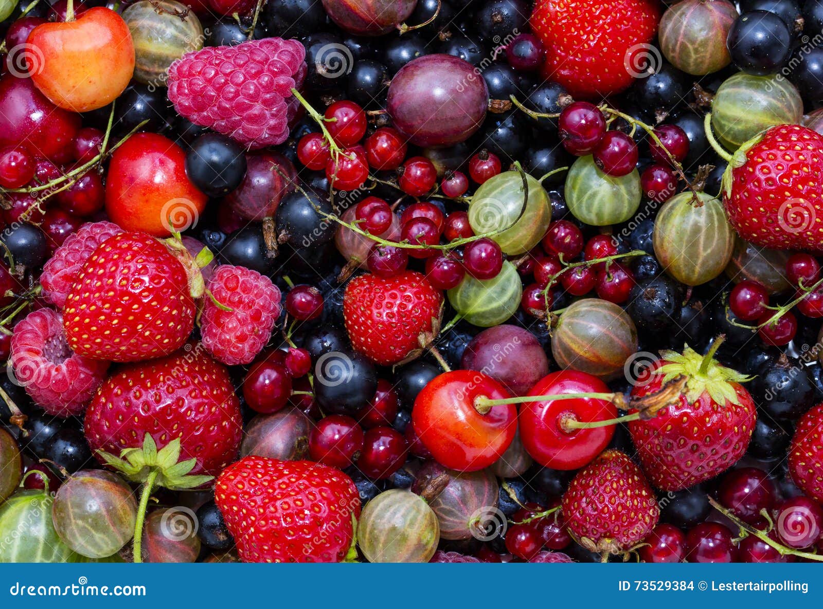 Berry background stock photo. Image of blueberry, closeup 73529384