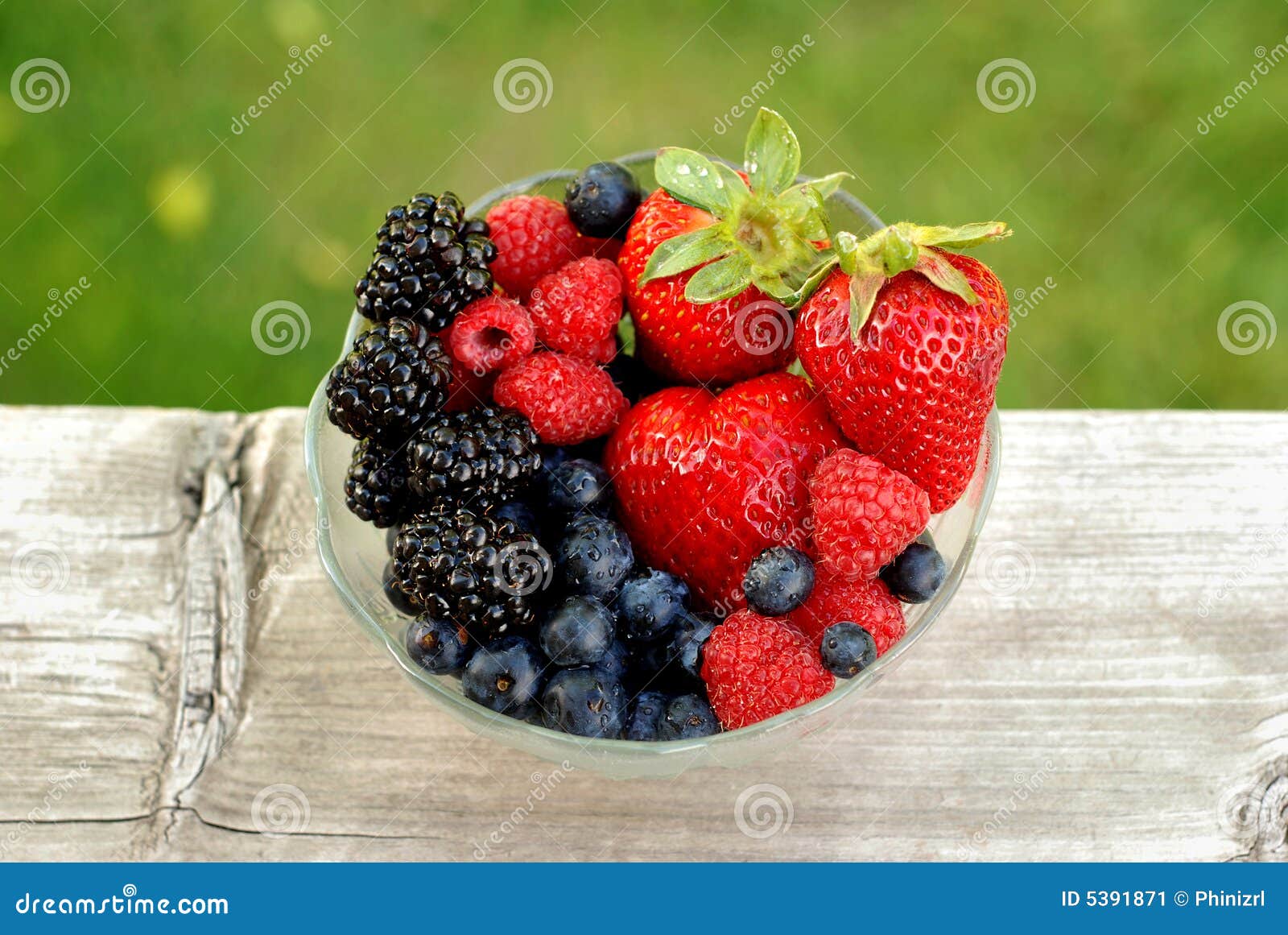 Berry Bowl stock image. Image of blue, black, bowl, produce 5391871