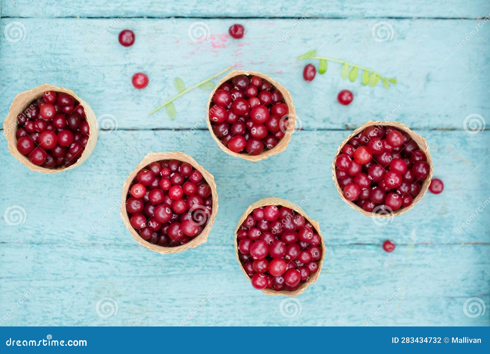 Berry Cranberries in Small Wicker Baskets on a Blue Background Stock