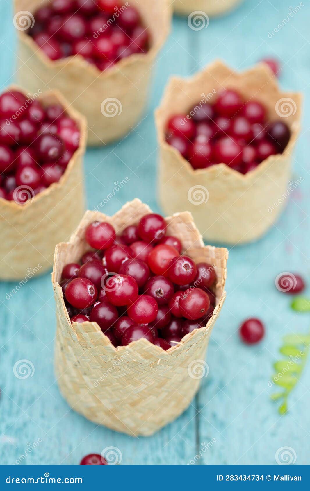 Berry Cranberries in Small Wicker Baskets on a Blue Background Stock