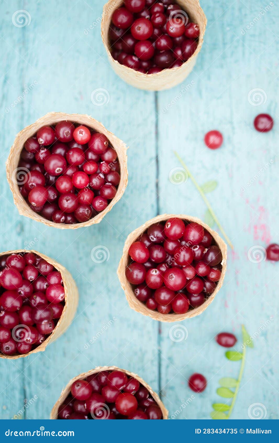 Berry Cranberries in Small Wicker Baskets on a Blue Background Stock
