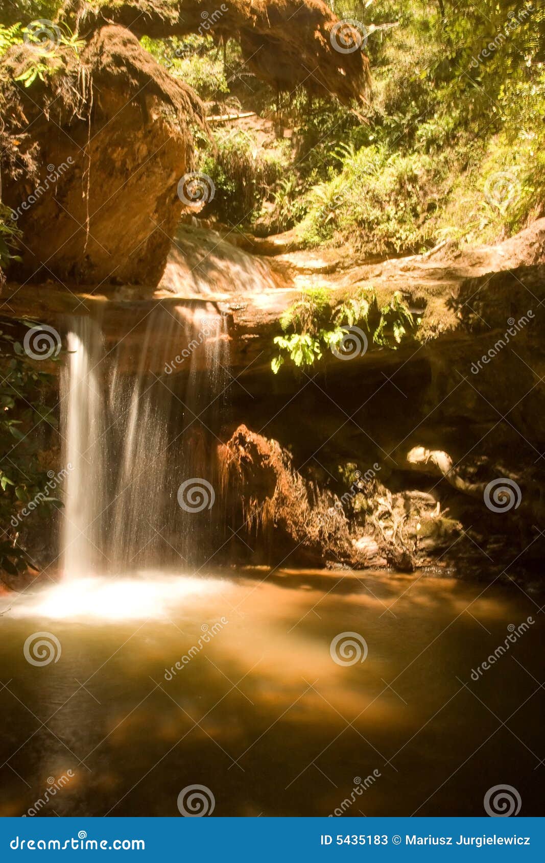 Berry Creek Falls Trail stock image. Image of landmark 5435183