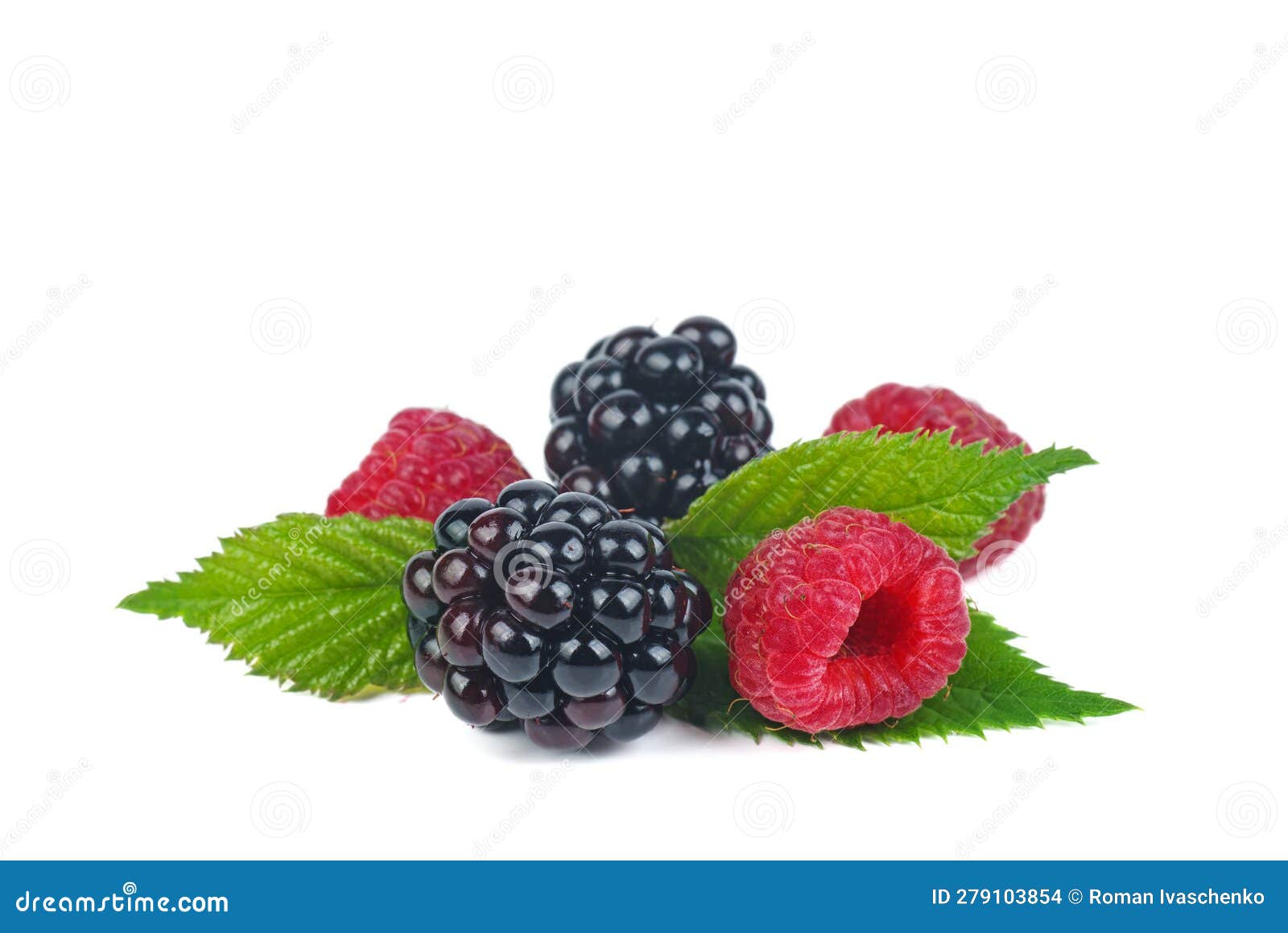 Berry Mix Isolated on a White Raspberry, Blackberry Stock Photo  Image of berries, tasty: 279103854