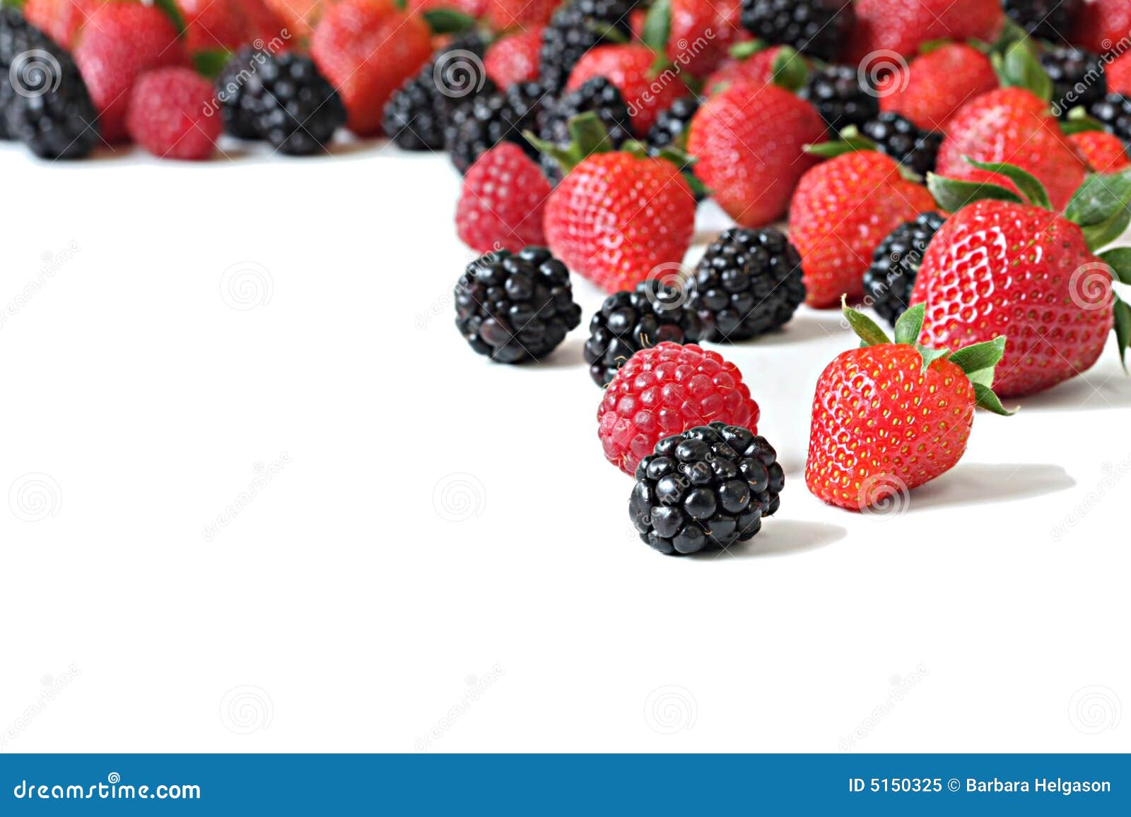 Berry variety stock image. Image of crop, nutrition, organic 5150325