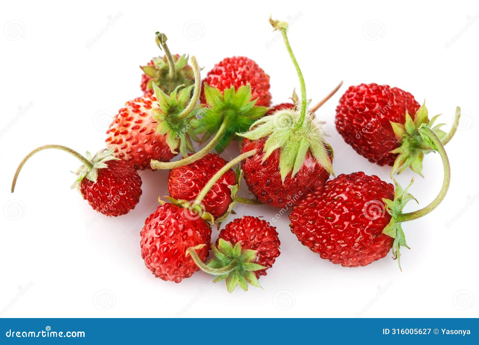 berry wild strawberry with green leaves handful fresh strawberries