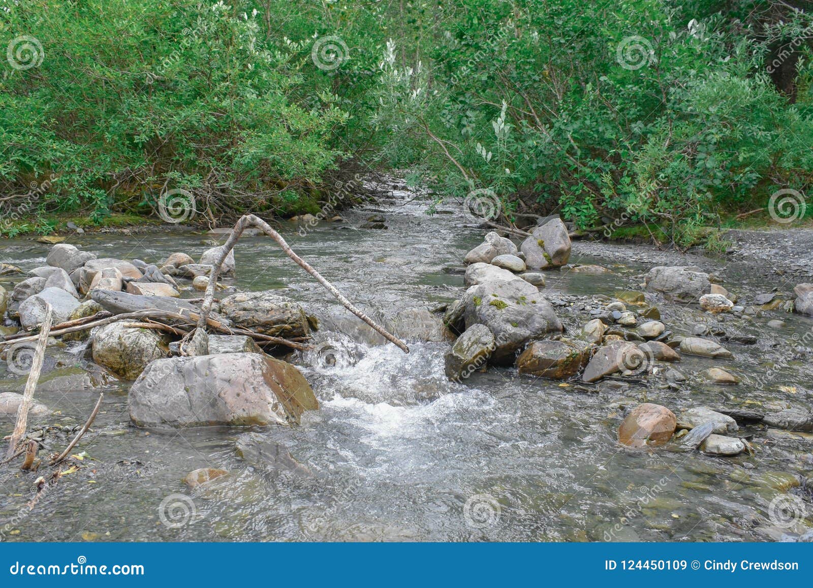 bertha creek in turnagain pass