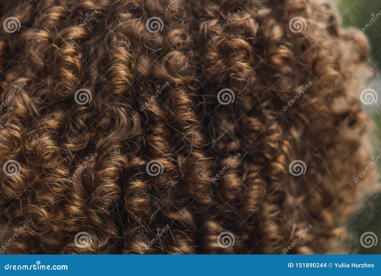 Beschaffenheit Des Mannlichen Abschlusses Des Gelockten Haares Oben Dauerwelle Fur Manner Stilvolle Frisur Stockfoto Bild Von Beschaffenheit Fur