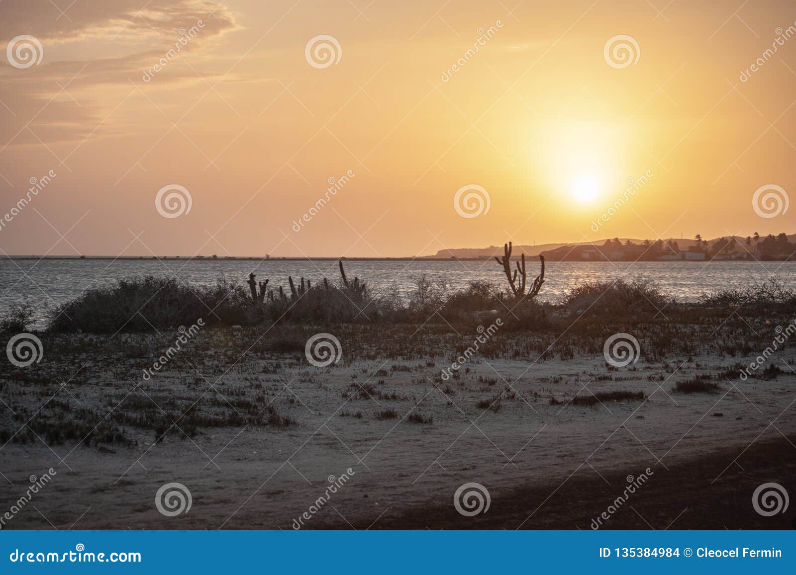 blues, brown, and water beautiful escene small twon coche margarita island