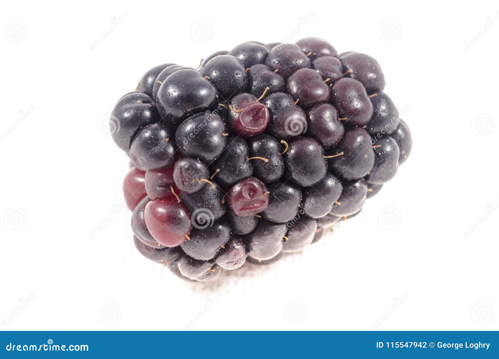 The Best Blackberry Just Setting in the Sun Stock Photo - Image of ...