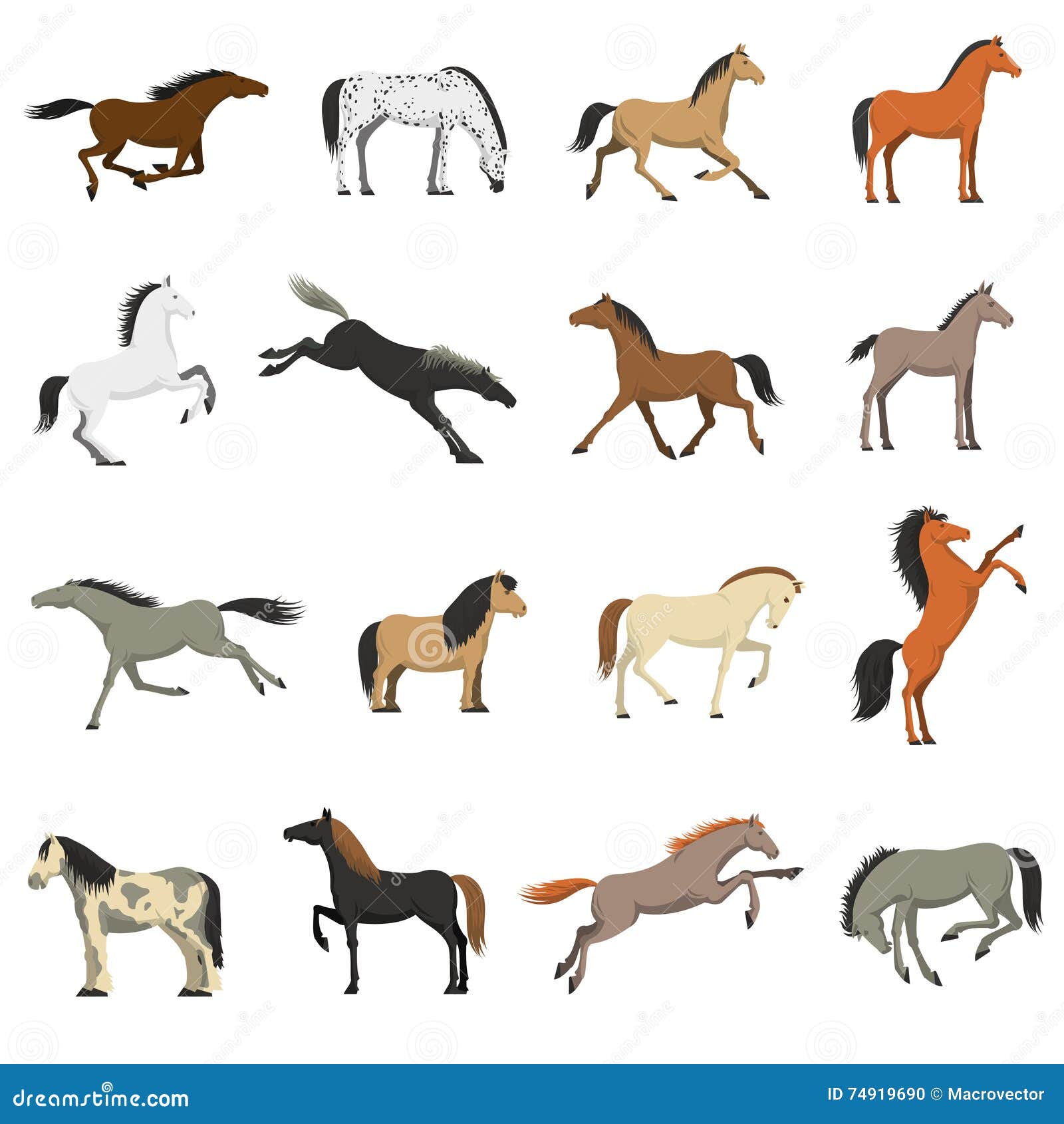 Best Horse Breeds Pictures Icons Set Stock Vector - Illustration of ...