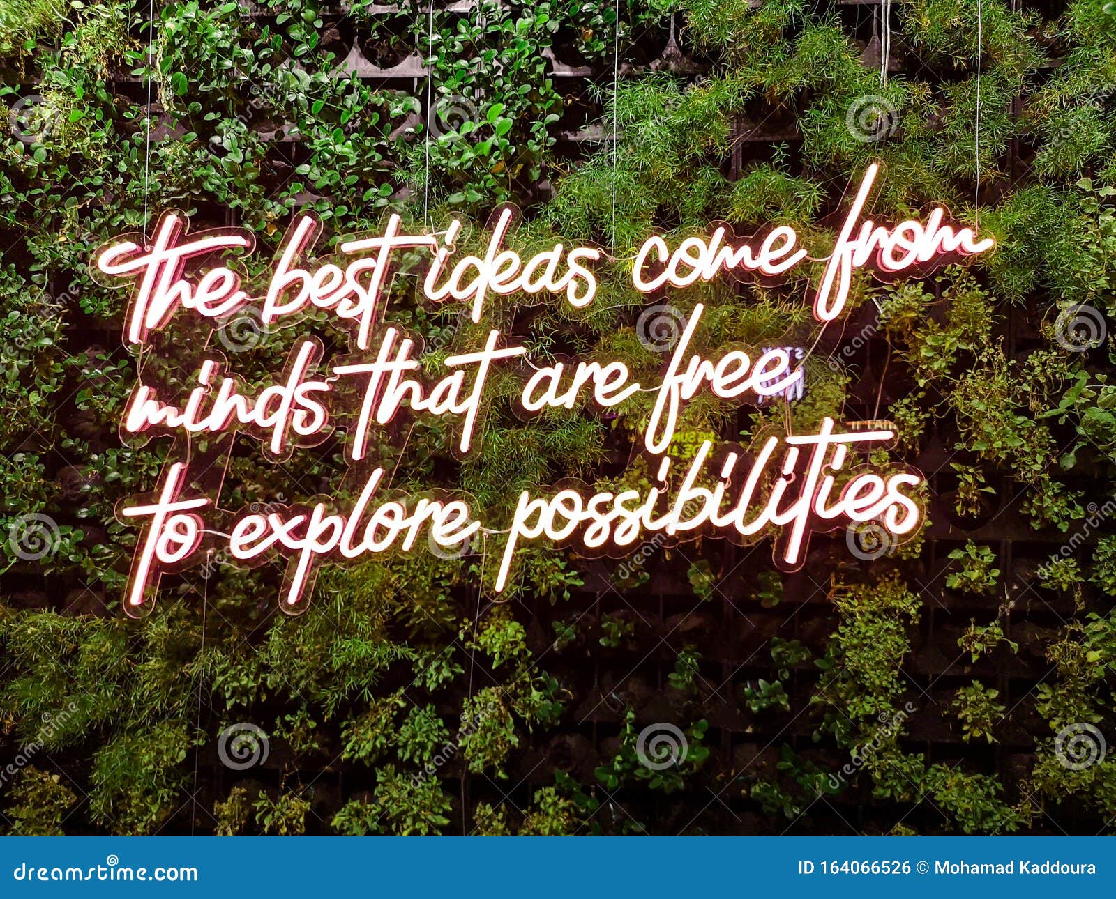 `the best ideas come from minds that are free to explore possibilities` quote - neon cool inspiring quote