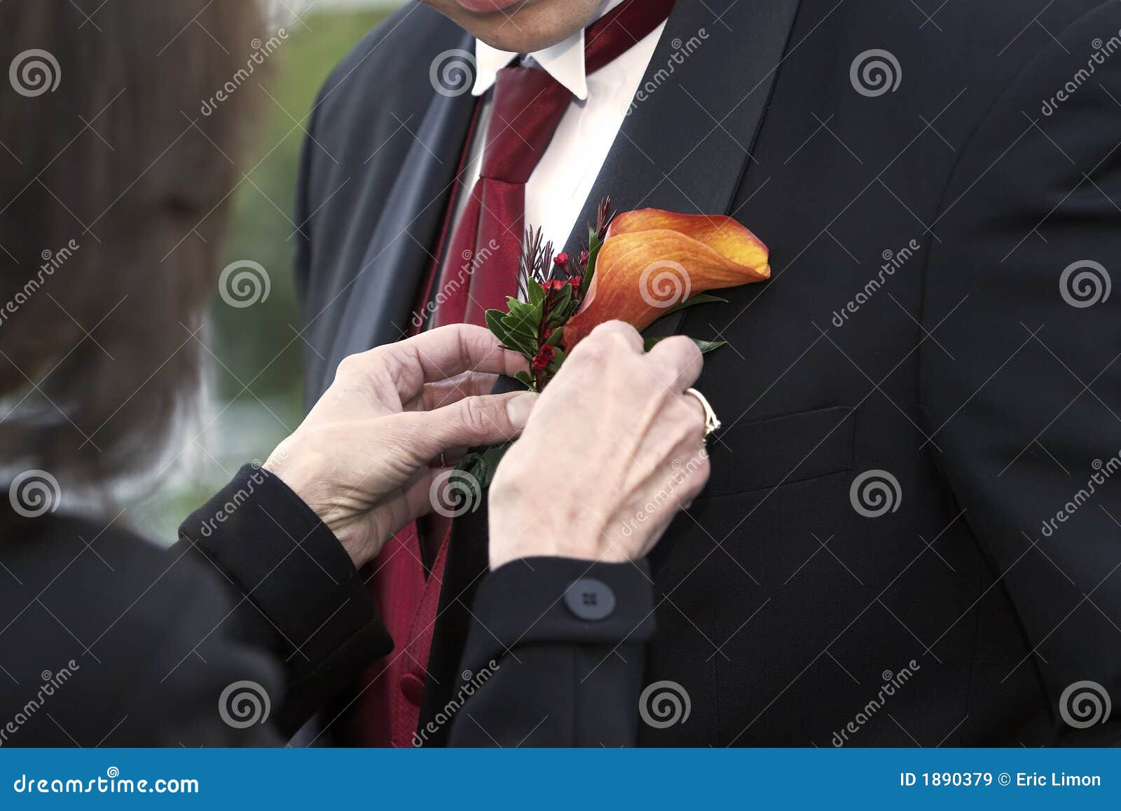 Best man - wedding series stock image. Image of tuxedo - 1890379