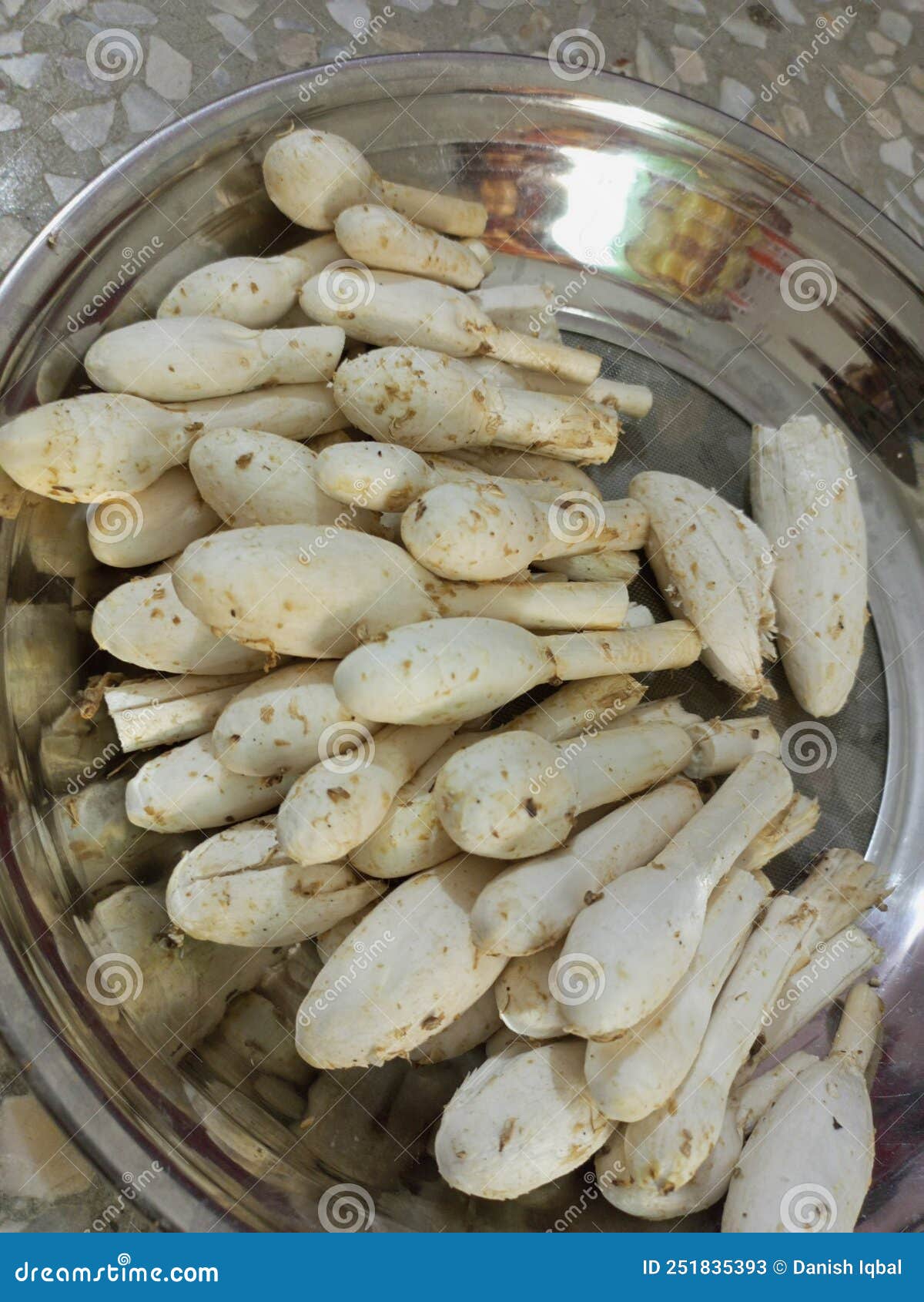 Best Mushrooms ever I see stock image. Image of vegetables 251835393