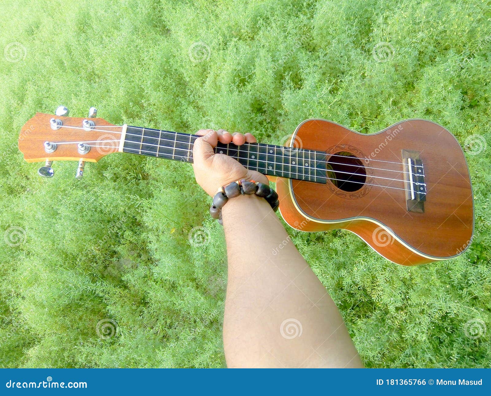 The Best Image of Ukulele Instrument with Natural Environment, a Hand of Music. Nature Sounds-Nature Music - Nature Lovers Stock Photo Image of background, light: 181365766