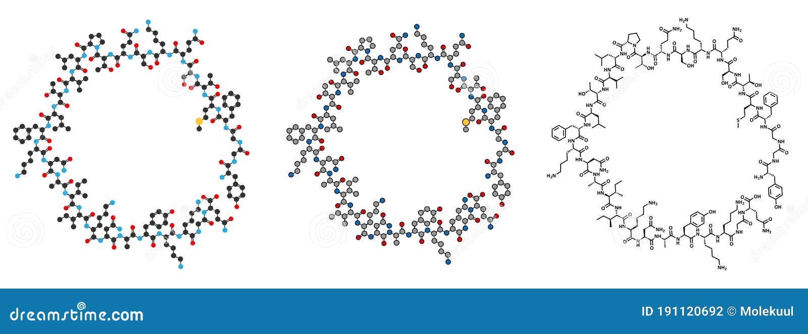 beta-endorphin endogenous opioid peptide molecule