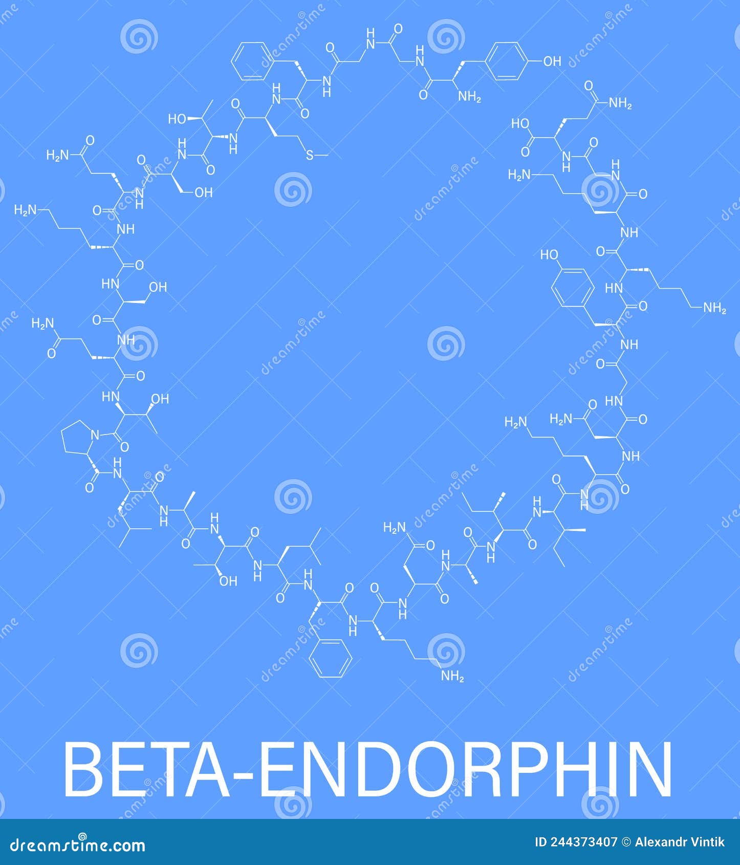 beta-endorphin molecule. skeletal formula.