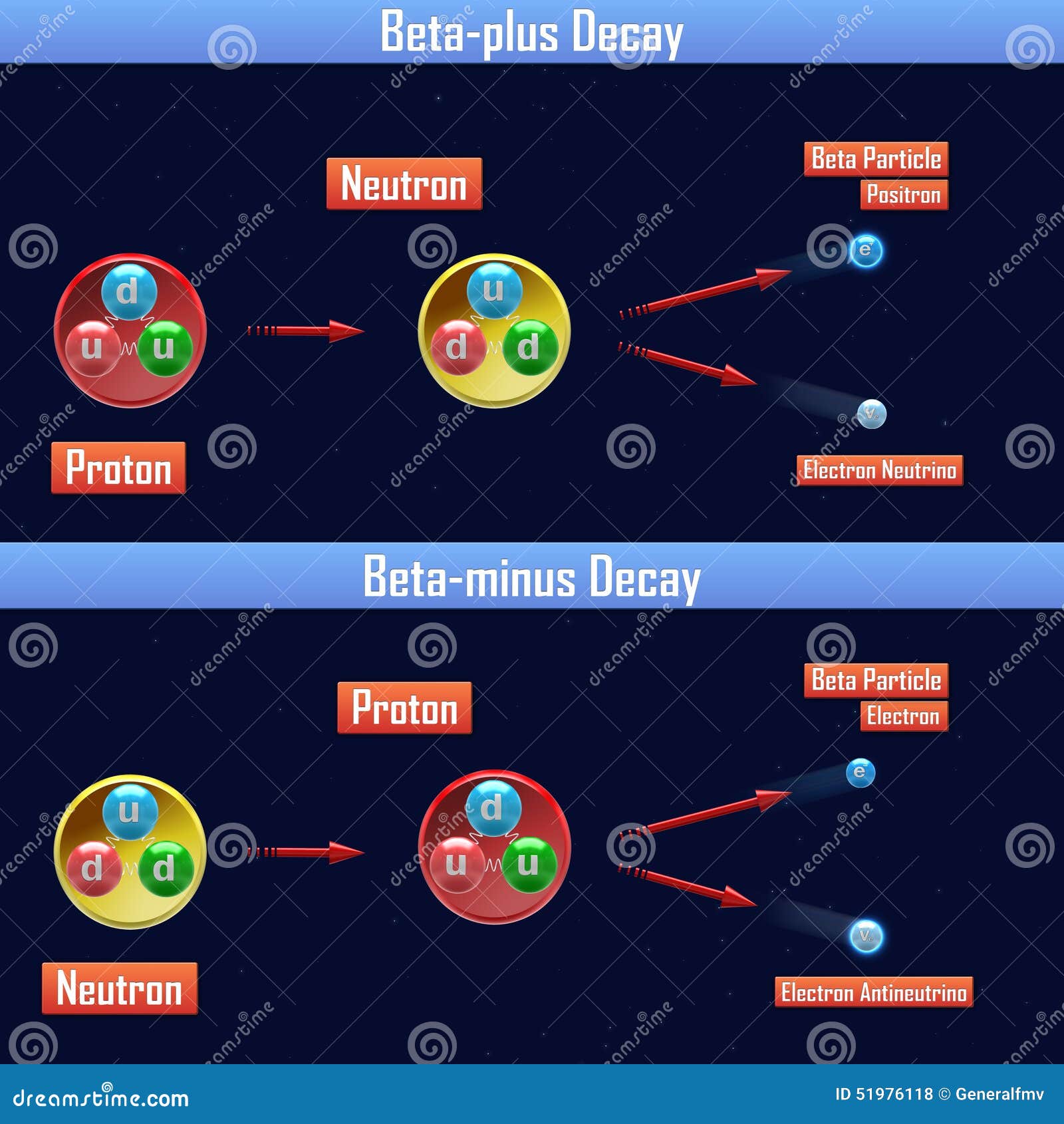 beta-plus decay and beta-minus decay