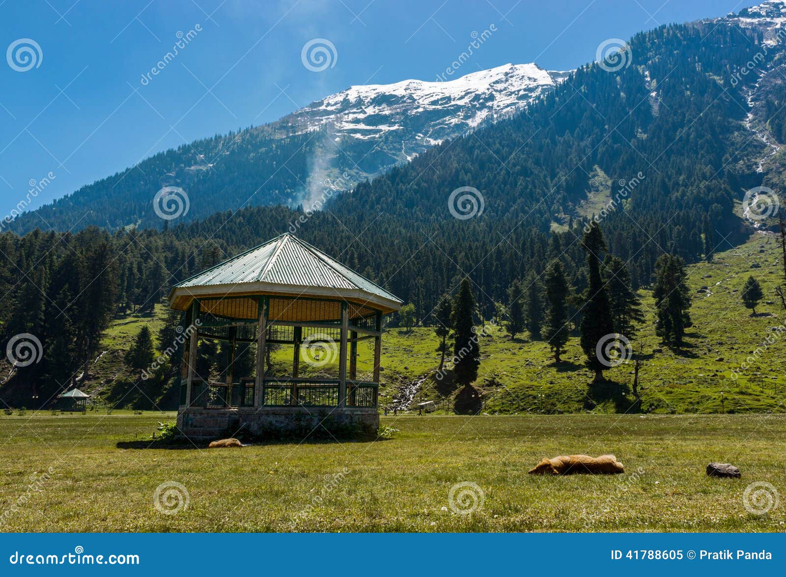 betaab valley, pahalgam, jammu and kashmir, india