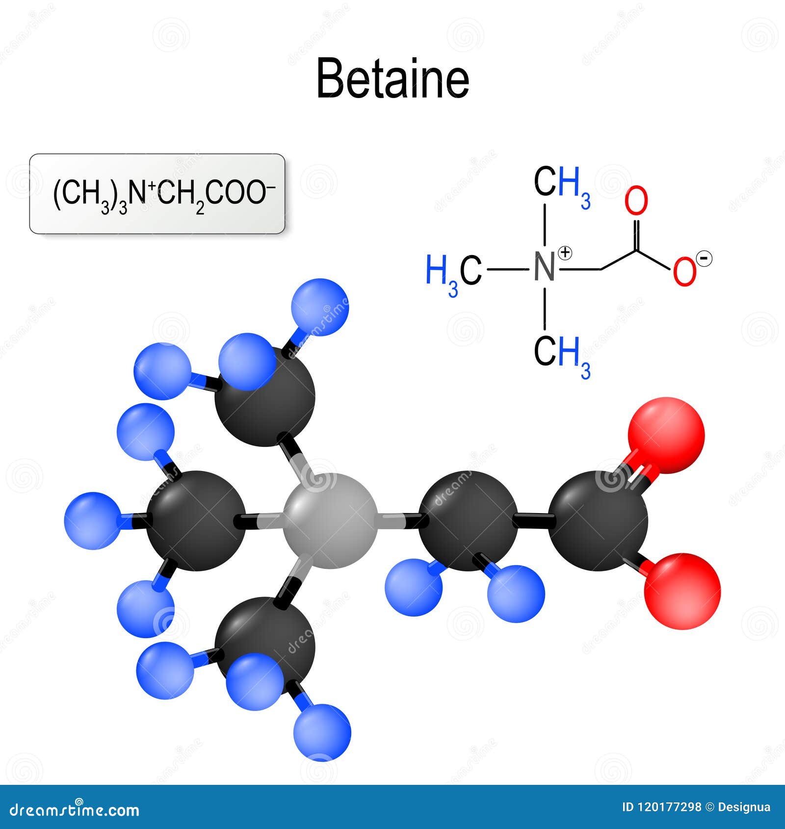 Betain Struktur eines Moleküls chemische Formel und Modell des Betainmoleküls Vektorillustration für medizinischen, pädagogischen und Wissenschaftsgebrauch