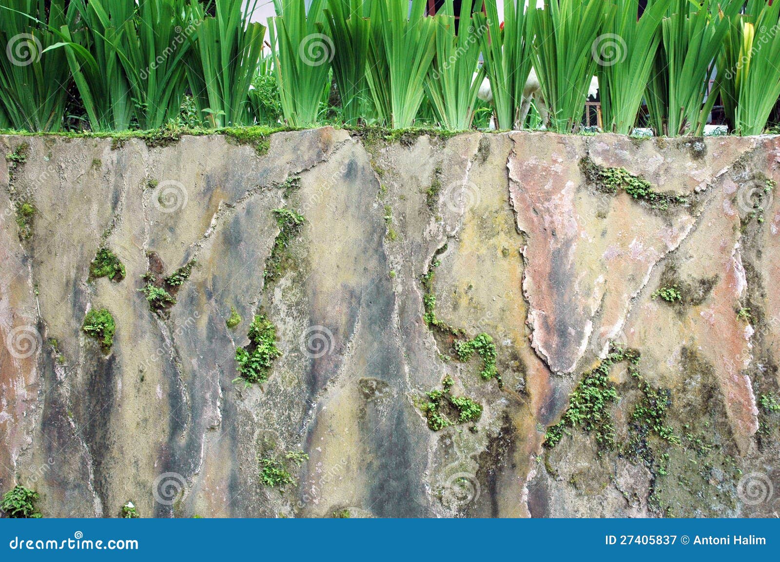 Betonowa ściana. Tecture betonowej ściany tło