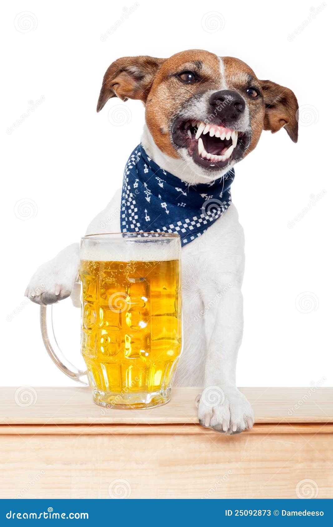 Betrunkener Hund mit Bier stockbild. Bild von knurren 25092873