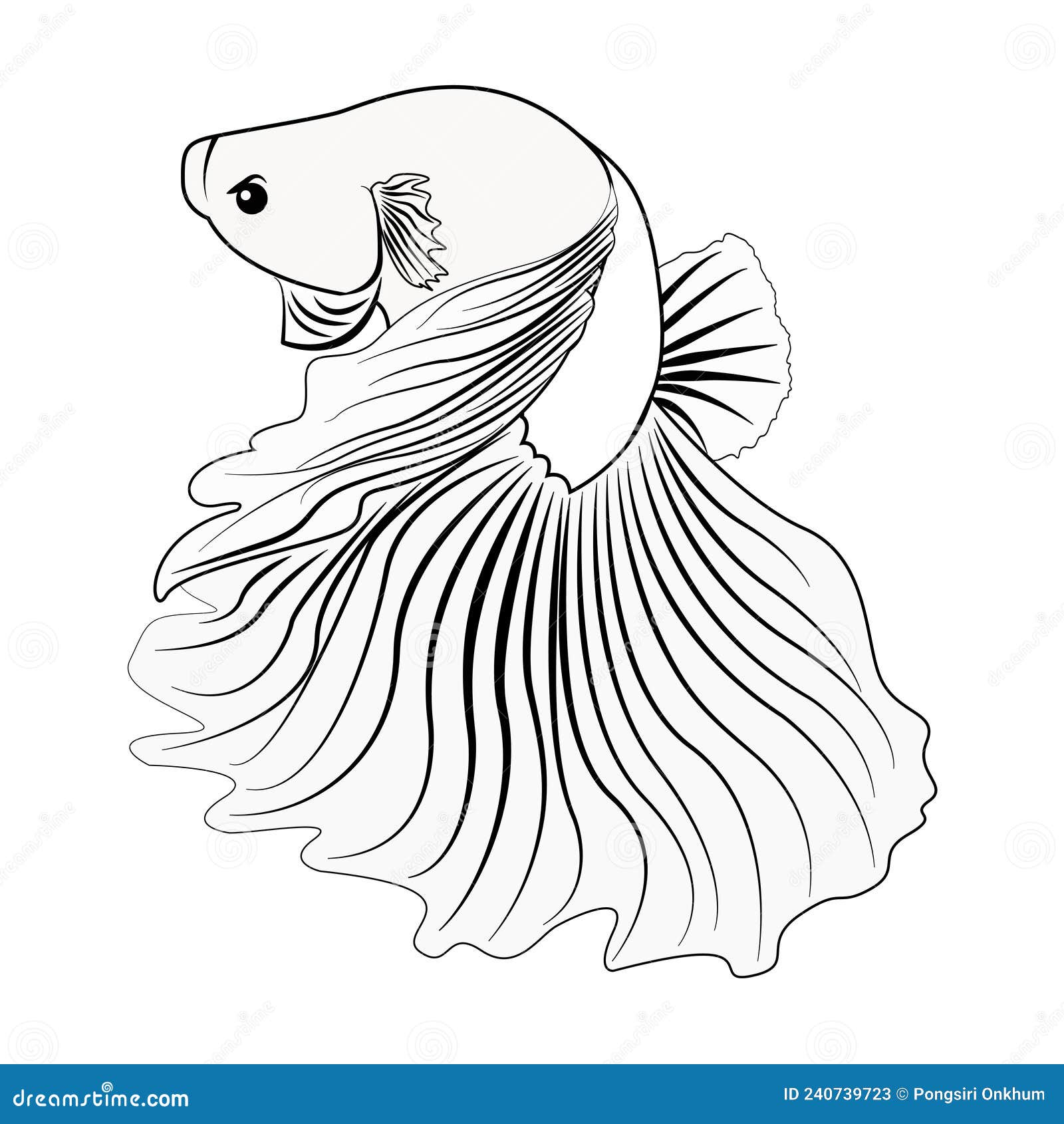 Black and white fish drawing. Simple hand drawn fish illustration