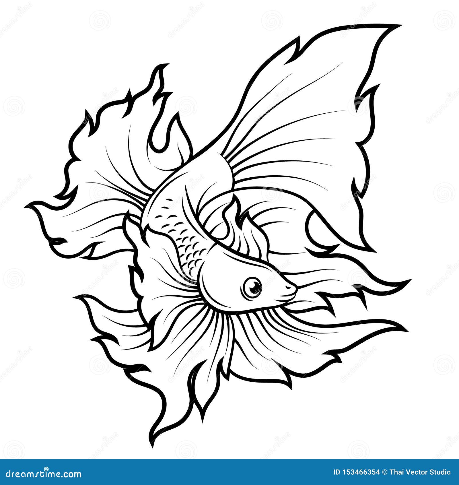 Betta Fish or Siamese Fighter Fish Stock Vector - Illustration of drawn,  elegant: 153466354