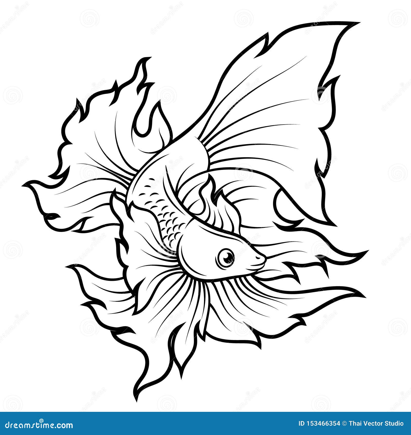 12 Best Beta fish drawing ideas | fish drawings, beta fish drawing, beta  fish