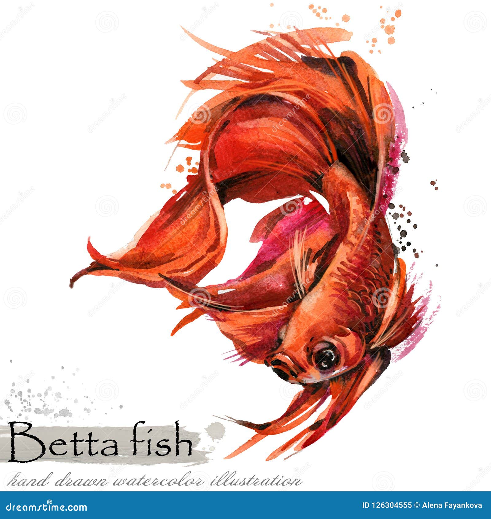 Betta Fish Stock Illustrations – 5,804 Betta Fish Stock Illustrations,  Vectors & Clipart - Dreamstime
