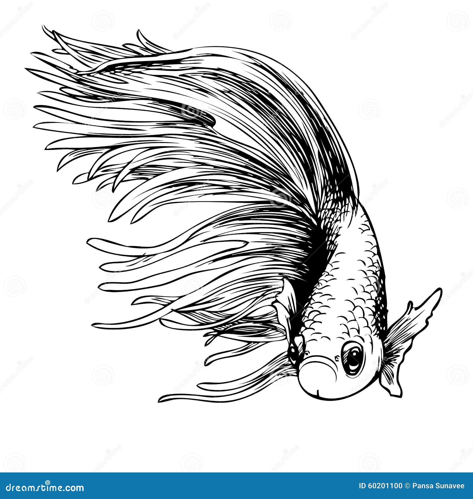 Two Siamese Fighter Fish Line Art Stock Illustration - Download Image Now -  Siamese Fighting Fish, Goldfish, Tattoo - iStock