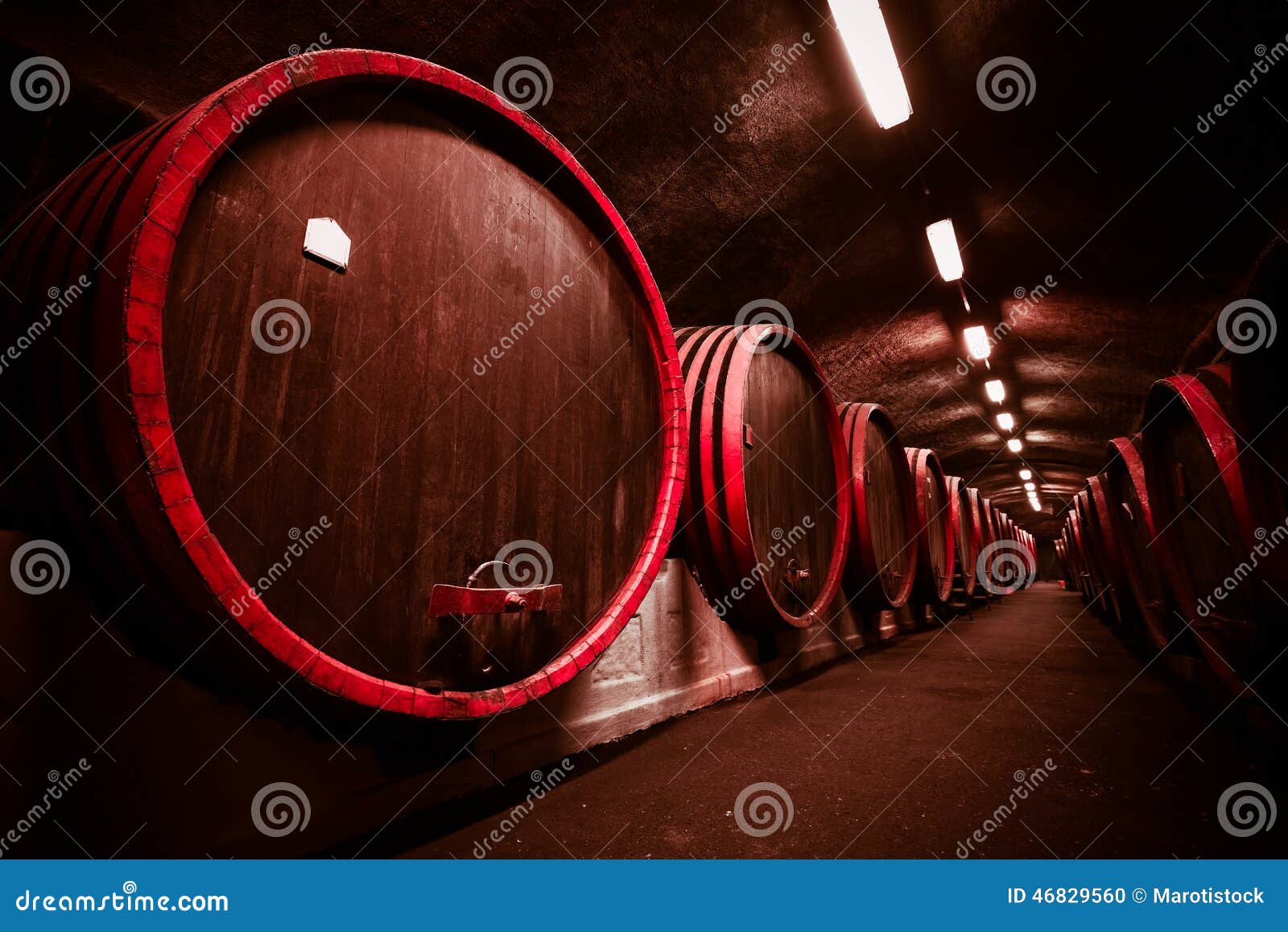 Beverage Storage Cellar, Barrels Stock Photo Image of storage