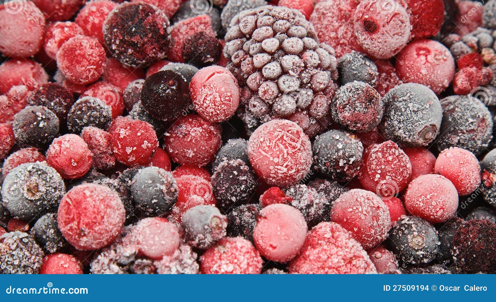 Bevroren fruit stock foto. Image of sluit, bevroren, vruchten 27509194
