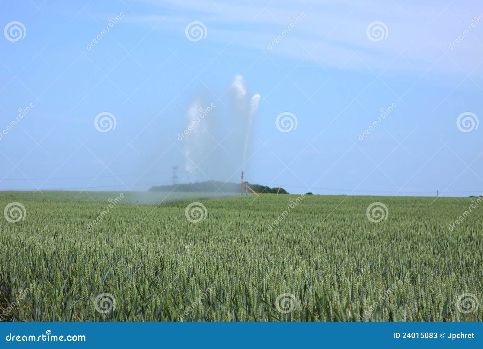 Bewässerung der Weizenfelder am Sommer