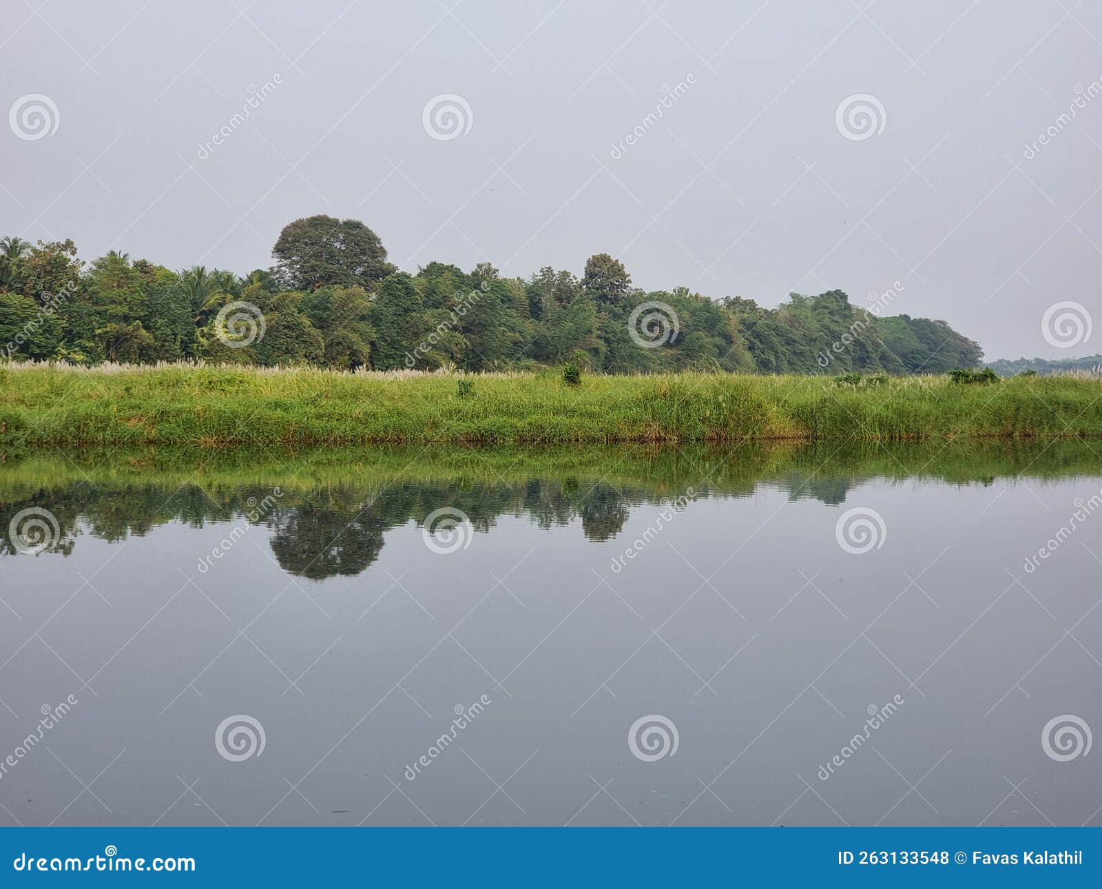 beautiful river banks of nila or bharathapuzha in palakkad, kerala, india.