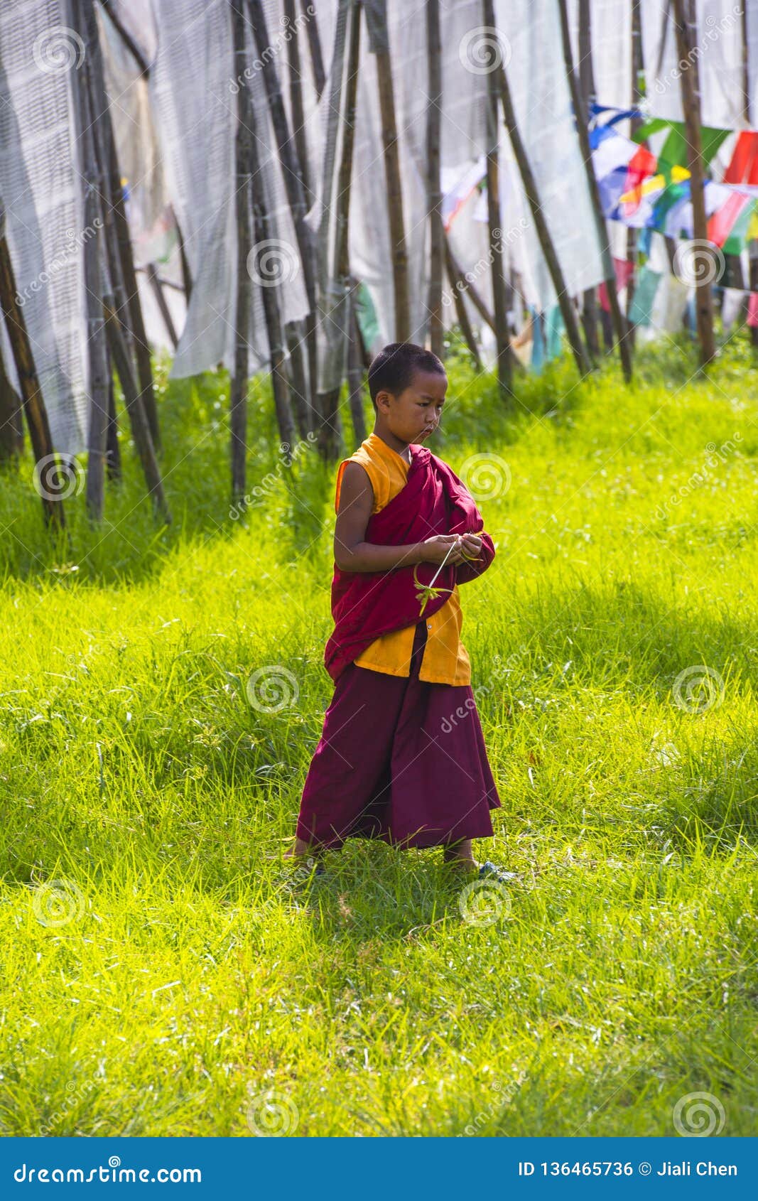 Young Novice Monk Walks in Meadow , Bhutan Editorial Photo - Image