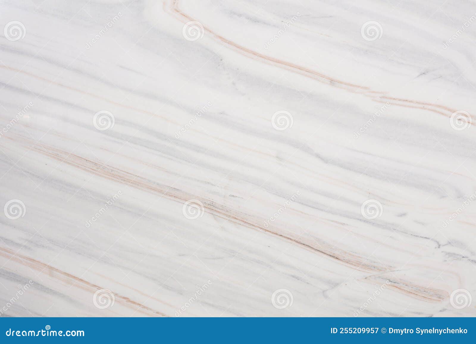 bianco lasa fantastico marble. texture for desing look. slab photo.