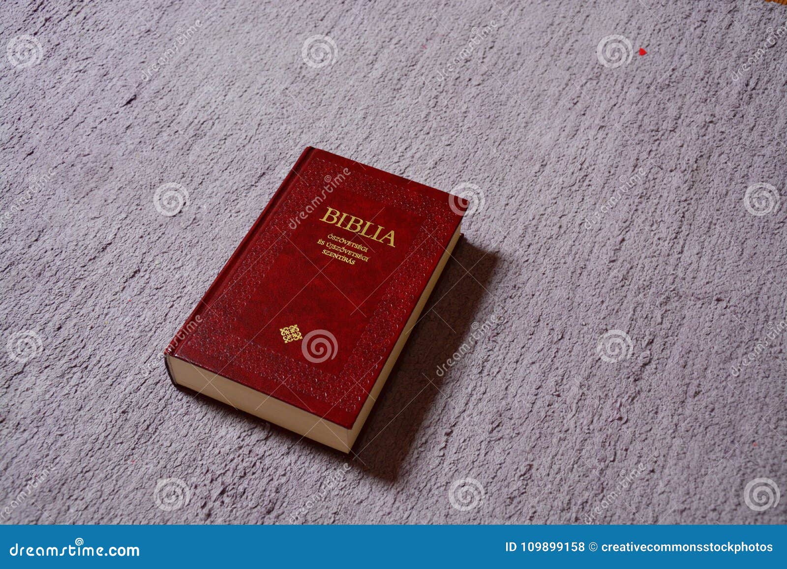 Bible, Book, Cement Picture. Image: 109899158