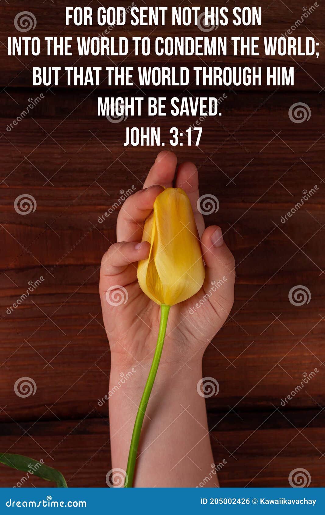 Bible Charity Quotes For Believers. Inspirational Christian Verse Child  Hand Hold Yellow Tulip Flower. Love Care Support Stock Photo - Image Of  Gift, Beneficence: 205002426