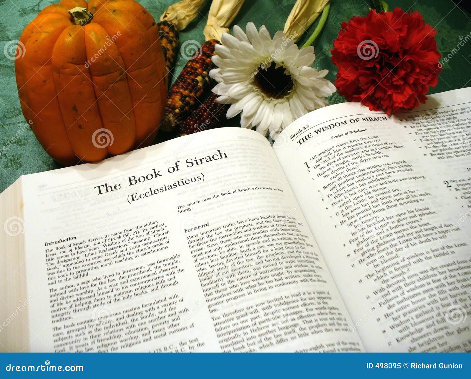 Bible d'action de grâces image stock. Image du courge, église 498095