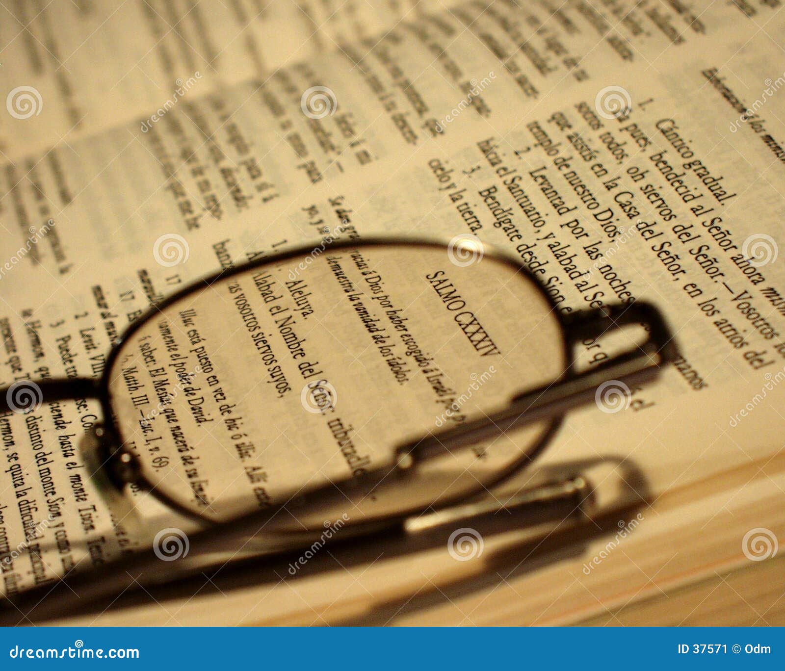 bible and glasses