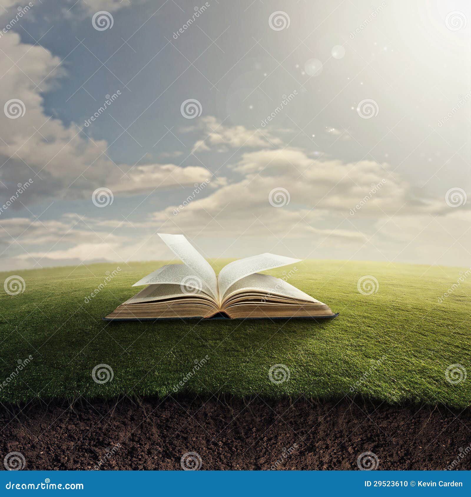 Bible on grass. stock photo. Image of glow, holy, light 29523610